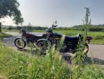 Bilder2021